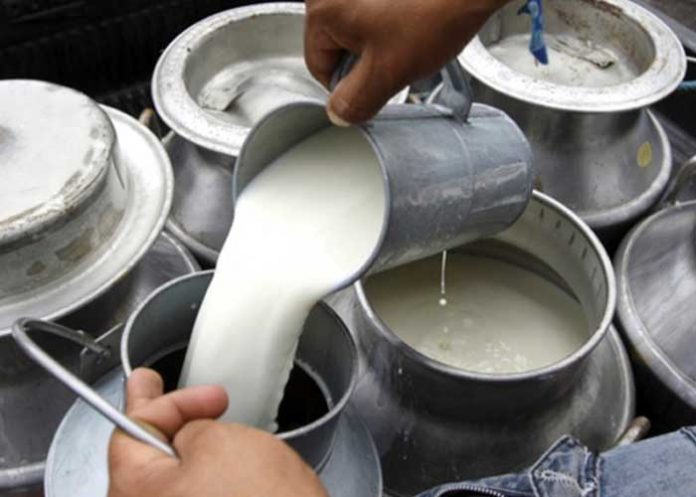 Producción de leche muestra excelentes resultados en el segundo cuatrimestre