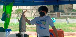 Foto: ¡Todo en mariscos! Usted lo puede encontrar en la Feria del Mar en Managua/TN8