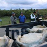 Operativo militar protege fauna y flora en Nicaragua