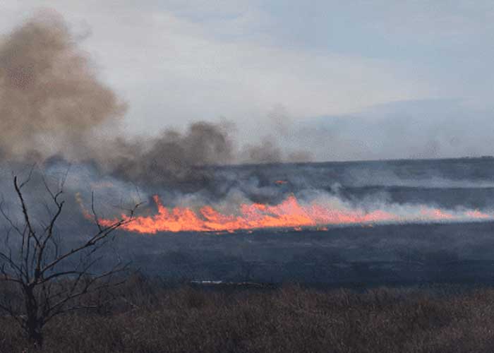 Foto: Incendio forestal en Argentina /cortesía