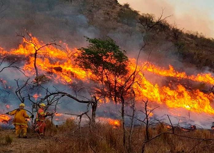 Foto: Incendio forestal en Argentina /cortesía
