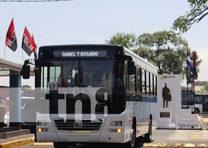 Foto: 133 nuevos buses transforman el servicio de transporte urbano en Ciudad Sandino/TN8