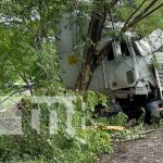 Foto: Rastra cargada de hierro se estrelló contra un árbol en el sector Santa Rita / TN8