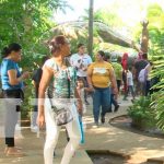 Foto: Familias Visitan el Parque Saurio en Nindirí: Una Aventura Prehistórica / TN8