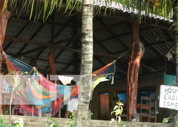 Foto: Negocios turísticos en la Isla de Ometepe activos de cara a la navidad y fin de año/TN8