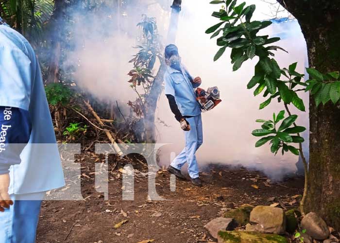 Foto: Brigadistas de fumigación llegan a los barrios de Muy Muy, Matagalpa / TN8