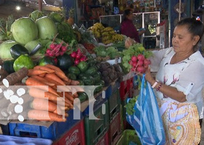 Foto: Sondeo de precios de la canasta básica en Nicaragua / TN8