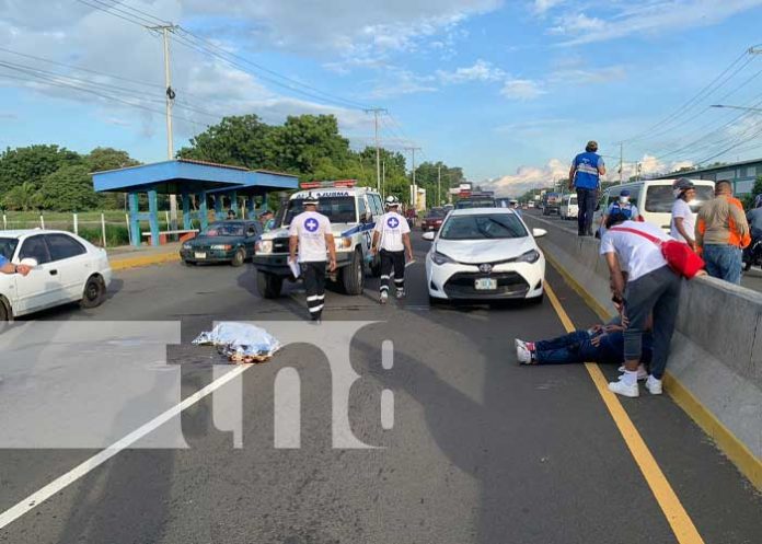 Foto: Pareja muere atropellado en la Carretera Nueva a León / TN8