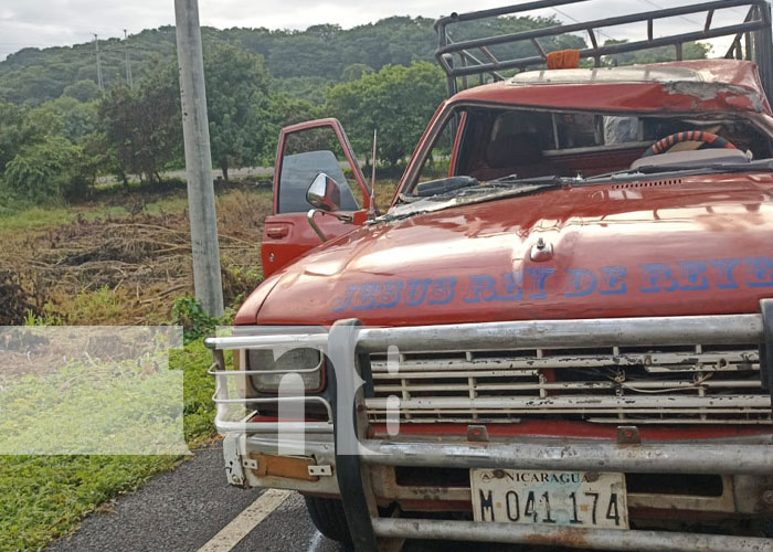 Foto: Equino casi provoca tragedia en Carretera a Masaya / TN8