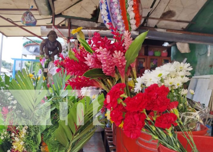 Foto: Flores, cruces y más se comercia antes del Día de los Difuntos en Nicaragua / TN8