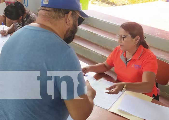 Foto: Matrícula escolar 2024 / TN8