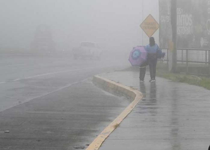 Foto: Afectaciones por tormenta tropical Pilar