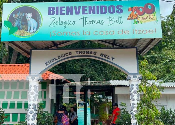 Zoológico de Juigalpa se prepara para que Itzae sea visitado