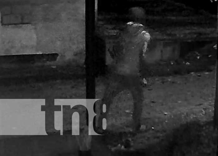 Foto: Jalapa: Ladrones arrasan con un local en una madrugada de fechorías / TN8