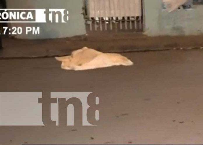 Señor muere arrollado por un taxi en barrio Laureano Mairena, Managua