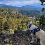 Foto: Tragedia en Blackhead Peak, Estados Unidos: Excursionista Muerto, Perro Sobrevive / Cortesía