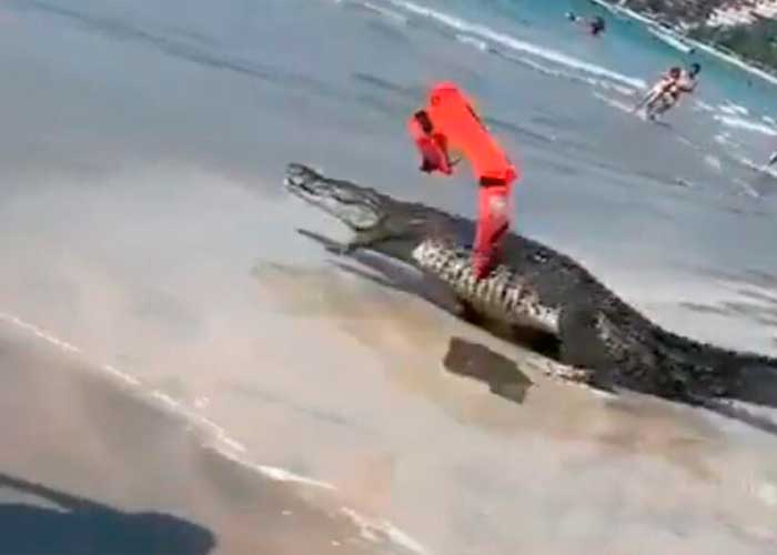 Aparece cocodrilo en la playa y causa pánico entre los turistas