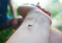 Foto: ¡Alarmante epidemia! Dengue causa 89 muertes y miles de casos en Guatemala/Cortesía