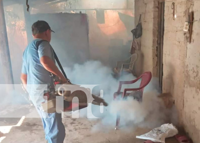 Ministerio de Salud de Nueva Segovia intensifica la lucha contra el Dengue