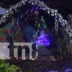 Foto: Llega la Navidad a la Isla de Ometepe, instalan luces navideñas / TN8