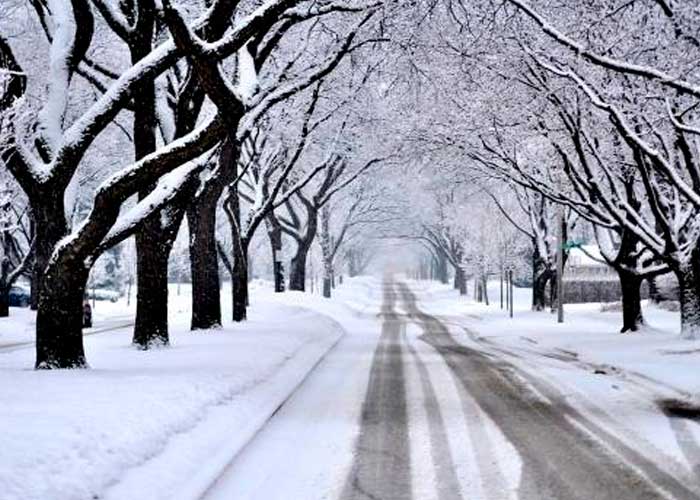 Foto: Alerta en Chicago: Nieve y Frío Extremo este Fin de Semana / Cortesía 