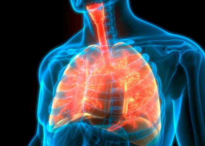 Foto: Consejos para limpiar tus pulmones /cortesía