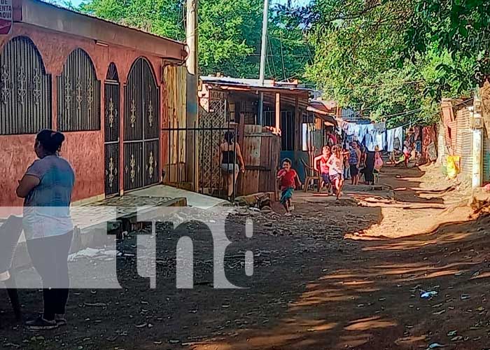 Foto: Cruel tragedia hacia perros y gatos /cortesía 