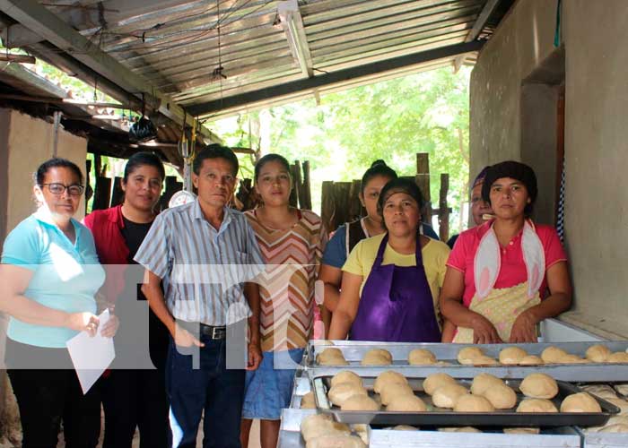 Foto: Gobierno de Nicaragua brinda apoyo a iniciativas productivas en Madriz/Tn8
