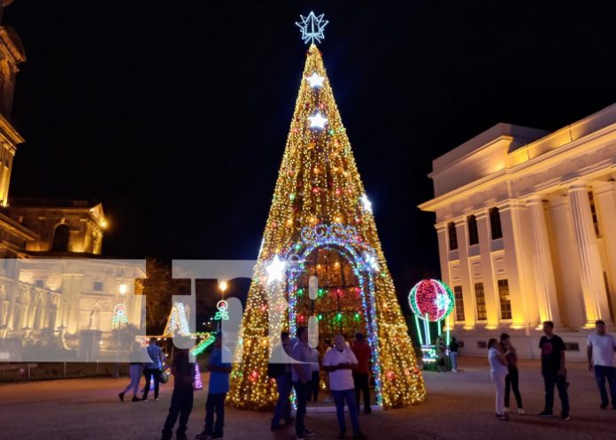 Foto: ¡Managua se ilumina para recibir la Navidad con más de 2 mil metros de luces!/TN8