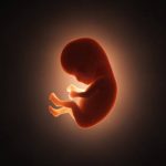 Foto: ¡Desgarrador! Encuentran feto de tres meses en el basurero de San Rafael del Norte, Jinotega/Cortesía