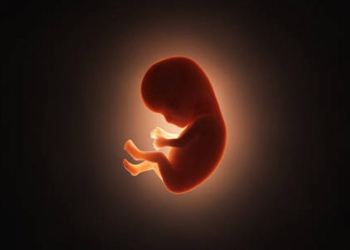 Foto: ¡Desgarrador! Encuentran feto de tres meses en el basurero de San Rafael del Norte, Jinotega/Cortesía