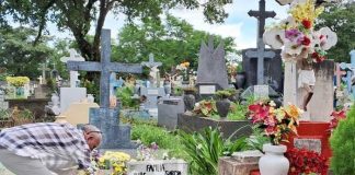 Foto: Visitas al Cementerio Periférico de Managua / TN8