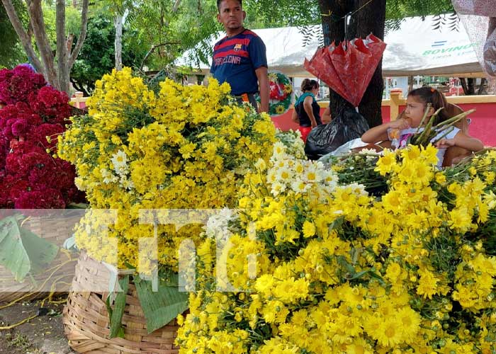 Foto: Flores en auge de comercio en Somoto / TN8