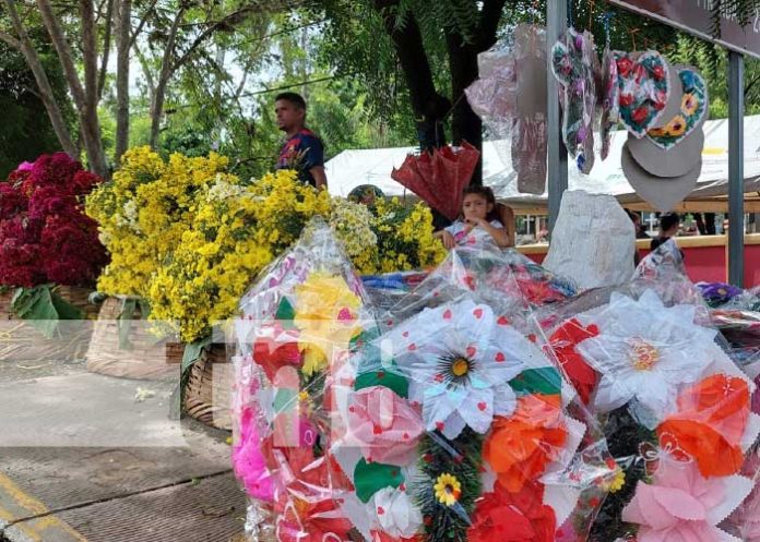 Foto: Flores en auge de comercio en Somoto / TN8