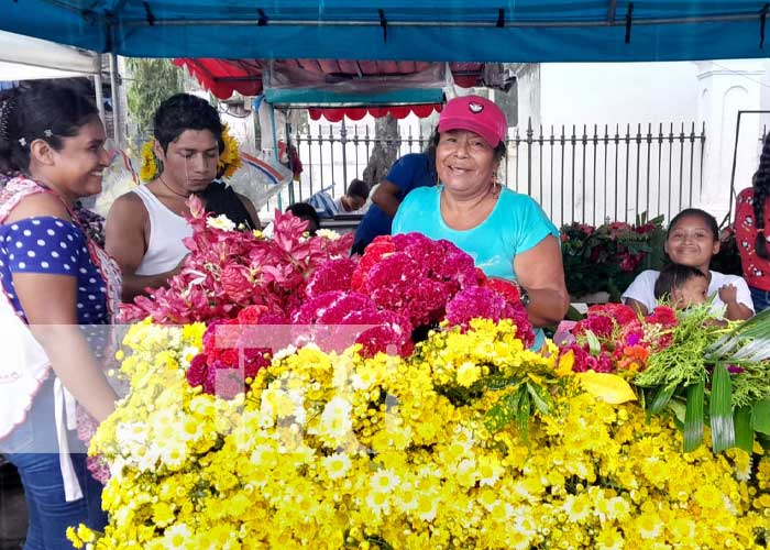 Foto: Comercio de flores activado en Granada / TN8