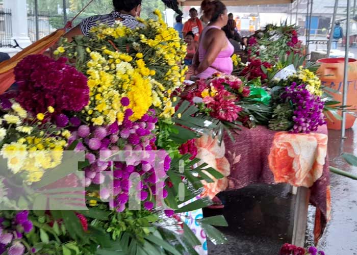 Foto: Comercio de flores activado en Granada / TN8