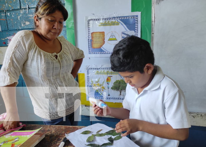 Foto: Educación ambiental en colegios de Ticuantepe / TN8
