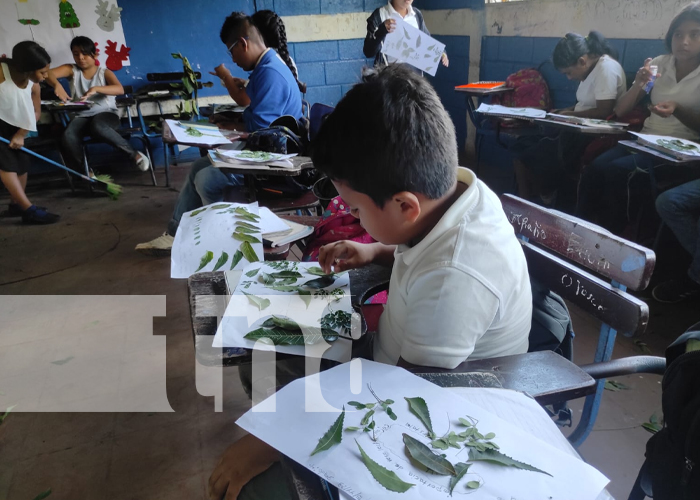 Foto: Educación ambiental en colegios de Ticuantepe / TN8