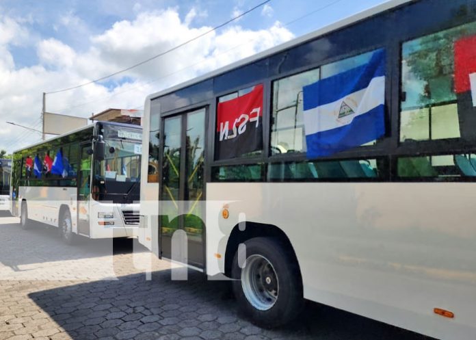 Foto: 250 nuevos buses recorren la ciudad de León / TN8