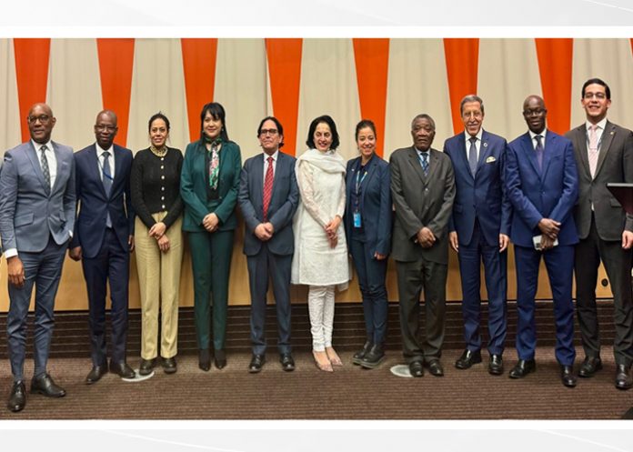 6 años de Asociación para el desarrollo, India-ONU