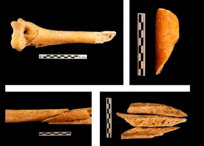 Foto: En España descubren nuevas prácticas funerarias del Neolítico/Cortesía