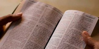 Hay dos tipos de pastores y cinco motivaciones para predicar el evangelio