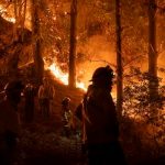 Más de 5 hectáreas quemadas por el voraz incendio en el Parque Metropolitano de Chile