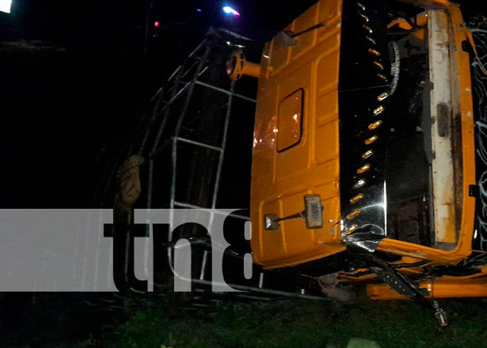 Foto: Diciembre de accidentes: Camión ganadero se precipitó en un abismo de 20 metros / TN8