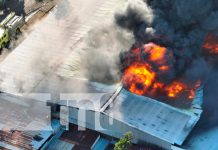 Foto: Voraz incendio en almacén de calzado ocasiona pérdidas millonarias / TN8
