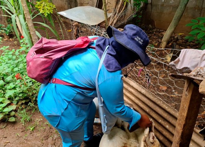 Nicaragua presenta menos contagios en neumonía y dengue