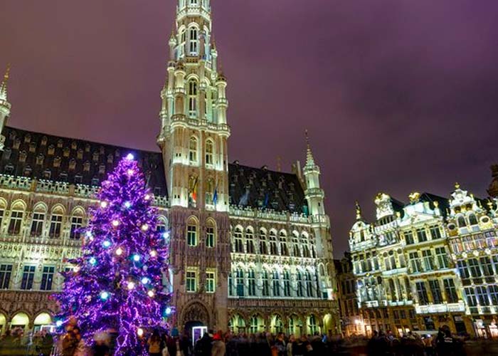 Foto:  Fatalidad en Bélgica: Árbol de Navidad mata a mujer durante tormenta / Cortesía 