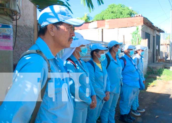 Continúa la lucha antiepidémica contra el mosquito transmisor en Managua