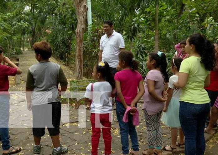 Foto: ¡Sembrando conocimiento en el Arboretum Nacional! Niñez aprende sobre El Madroño/TN8