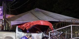 Foto: ¡Pastor pierde la vida en trágico accidente en el km 9 de la Carretera Vieja a León!/TN8